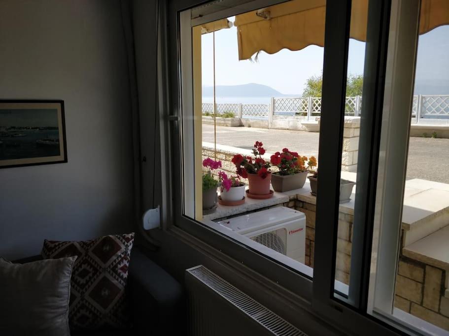 Ionian Blue Studio Πρέβεζα Εξωτερικό φωτογραφία